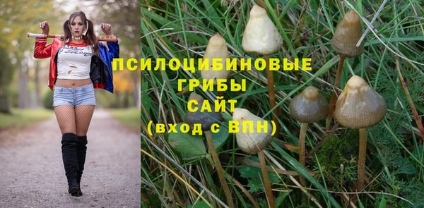 apvp Абаза