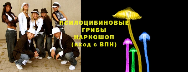 apvp Абаза