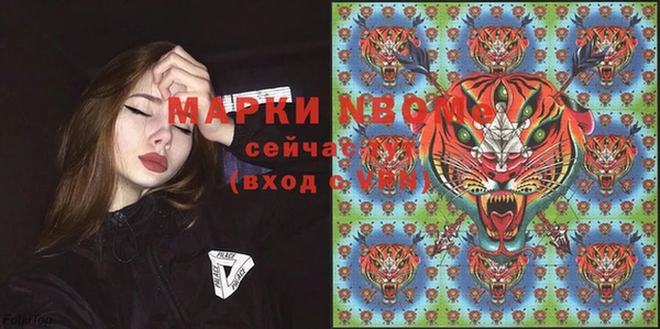 прущие грибы Абдулино