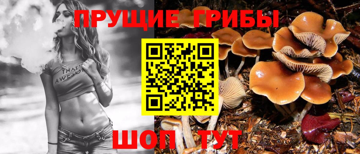 Галлюциногенные грибы прущие грибы Уварово